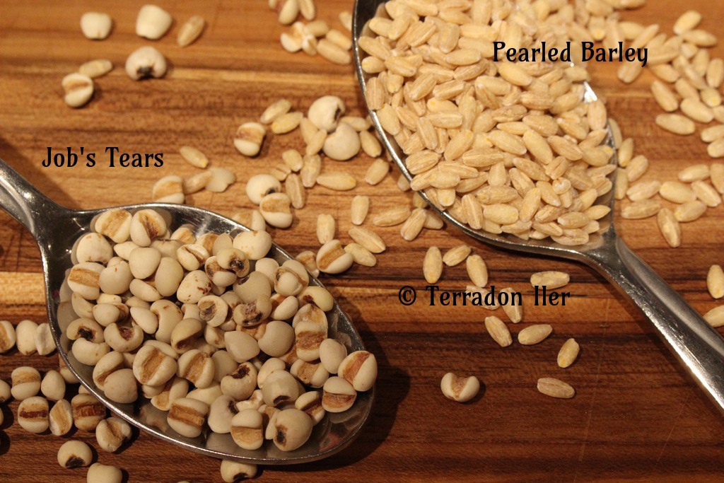 barley vs jobs tears